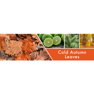 Cold Autumn Leaves 2-Docht-Kerze 680g