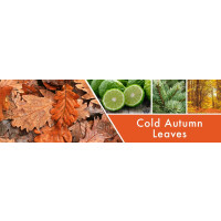 Cold Autumn Leaves 2-Docht-Kerze 680g