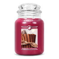 Sparkling Cinnamon 2-Docht-Kerze 680g