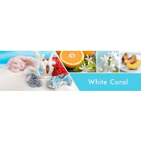 Goose Creek Candle® White Coral 3-Docht-Kerze 411g