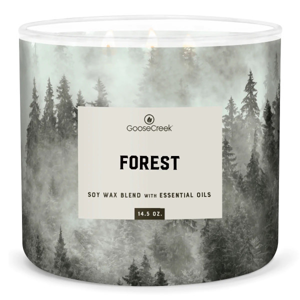 Goose Creek Candle® Forest - Mens Collection 3-Docht-Kerze 411g
