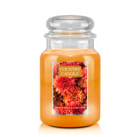 Country Candle™ Golden Mums & Honeycrisp 2-Docht-Kerze 652g