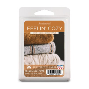 Feelin Cozy Wachsmelt 70,9g Limited Edition