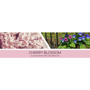 Cherry Blossoms 3-Docht-Kerze 411g