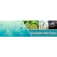 Goose Creek Candle® Eucalyptus Rain Drops 1-Docht-Kerze 198g