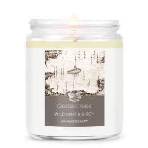 Wild Mint & Birch 1-Docht-Kerze 198g