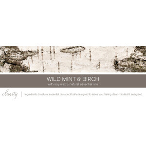 Wild Mint & Birch 1-Docht-Kerze 198g