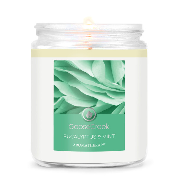 Goose Creek Candle® Eucalyptus & Mint 1-Docht-Kerze 198g