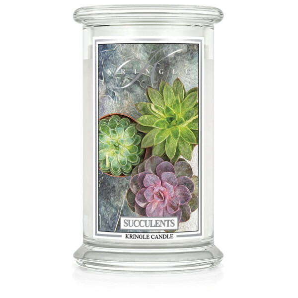 Kringle Candle® Succulents 2-Docht-Kerze 623g