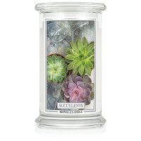 Kringle Candle® Succulents 2-Docht-Kerze 623g