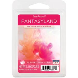 Fantasyland Wachsmelt 70,9g