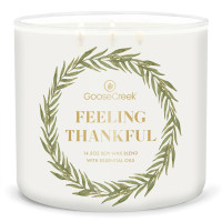 Goose Creek Candle® Feeling Thankful 3-Docht-Kerze 411g