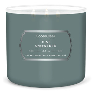 Goose Creek Candle® Just Showered - Mens Collection...