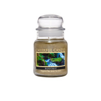 Cheerful Candle Rainforest 1-Docht-Kerze 170g