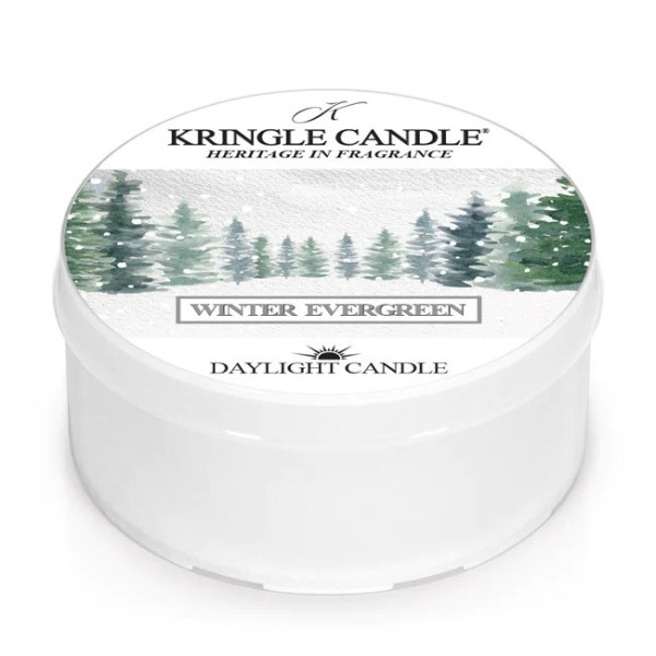 Kringle Candle® Winter Evergreen Daylight 35g