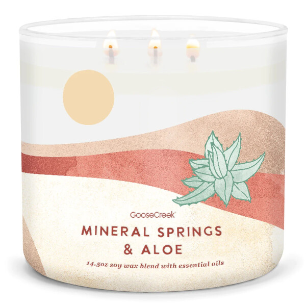 Mineral Springs & Aloe 3-Docht-Kerze 411g