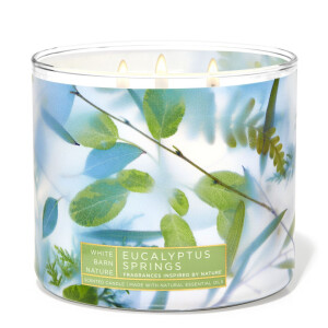 Bath & Body Works® Eucalyptus Springs...