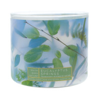 Eucalyptus Springs 3-Docht-Kerze 411g