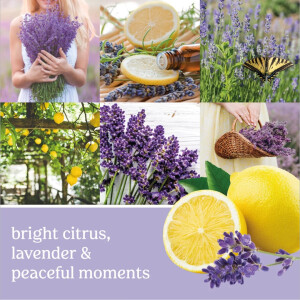 Lemon Lavender Scenterpiece™ Easy MeltCup