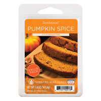 ScentSationals® Pumpkin Spice Wachsmelt 141,8g Value Pack