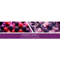 Goose Creek Candle® Under A Spell 3-Docht-Kerze 411g