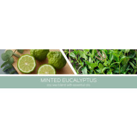 Minted Eucalyptus 3-Docht-Kerze 411g