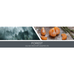 Goose Creek Candle® Forest - Mens Collection 3-Docht-Kerze 411g