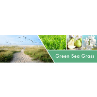 Goose Creek Candle® Green Sea Grass 3-Docht-Kerze 411g