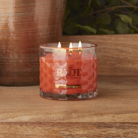 Root Candles® Pumpkin Spice 3-Docht-Kerze 411g