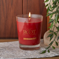 Root Candles® Fireside Großes Veriglass 298g