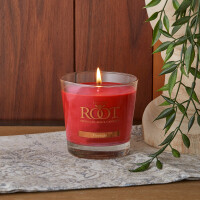 Root Candles® Fireside Kleines Veriglass 178g