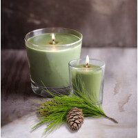 Root Candles® Winter Balsam Kleines Veriglass 178g