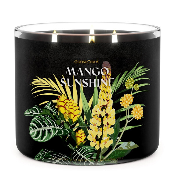 Goose Creek Candle® Mango Sunshine 3-Docht-Kerze 411g