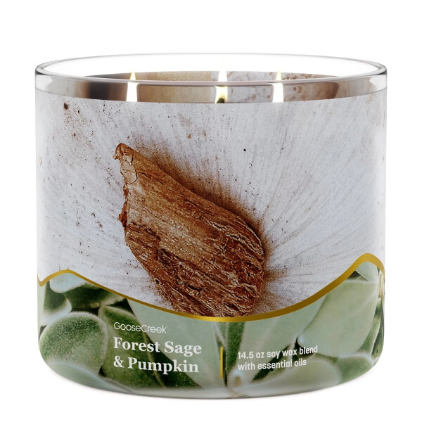 Goose Creek Candle® Forest Sage & Pumpkin 3-Docht-Kerze 411g