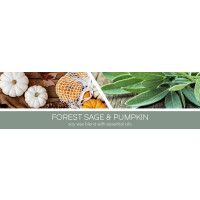 Goose Creek Candle® Forest Sage & Pumpkin 3-Docht-Kerze 411g