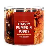 Toasty Pumpkin Toddy 3-Docht-Kerze 411g