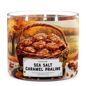 Goose Creek Candle® Sea Salt Caramel Praline 3-Docht-Kerze 411g