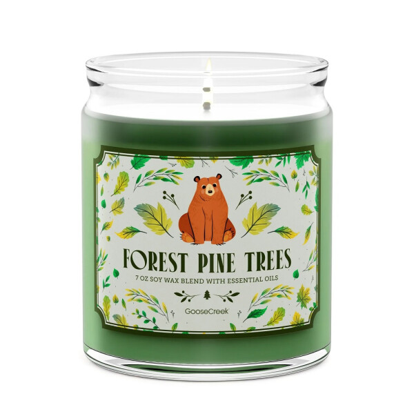 Goose Creek Candle® Forest Pine Trees 1-Docht-Kerze 198g