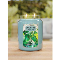 Country Candle™ Summer Showers 2-Docht-Kerze 652g Limited Edition