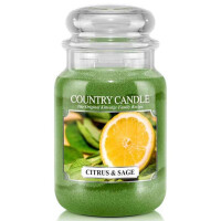 Citrus & Sage 2-Docht-Kerze 652g