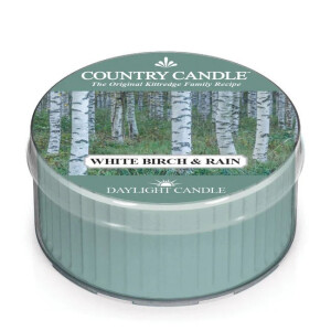 White Birch & Rain Daylight 35g