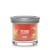 Yankee Candle® Autumn Leaves® Kleines Glas 122g