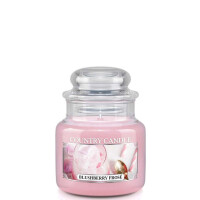 Blushberry Frosé 1-Docht-Kerze 104g