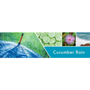 Cucumber Rain™  2-Docht-Kerze 680g