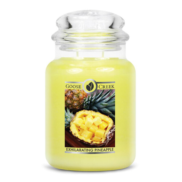 Exhilarating Pineapple 2-Docht-Kerze 680g