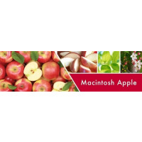 Macintosh Apple 2-Docht-Kerze 680g