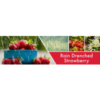 Rain Drenched Strawberry™  2-Docht-Kerze 680g