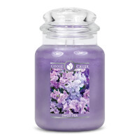 Sweet Pea 2-Docht-Kerze 680g