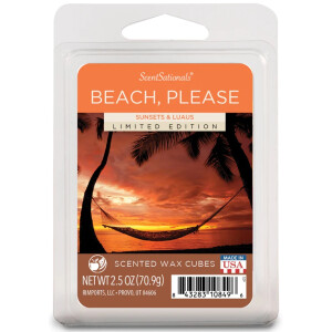 Beach Please Wachsmelt 70,9g Limited Edition