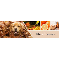 Pile of Leaves 2-Docht-Kerze 680g